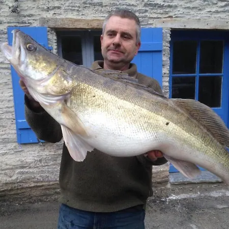Semesterbostad Maison Authentique Bord De Riviere Avec Jardin Privatif - De Peche, Animaux Sur Demande - Fr-1-306-886 Moisdon-la-Riviere